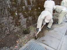 変換 ~ IMG_0015.jpg