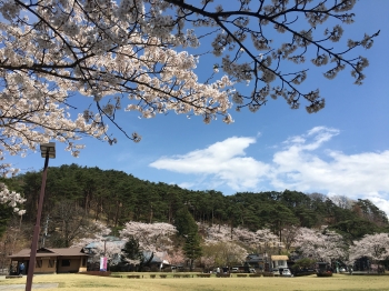 変換 ～ IMG_9620.jpg