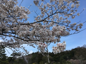 変換 ～ IMG_9623.jpg