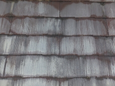 変換 ～ DSCF4794.jpg