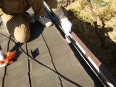 変換 ～ P1000809.jpg