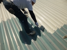 変換 ～ P1000827.jpg