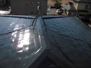 思い通りの色に仕上がり嬉しくなりました。