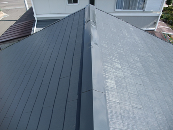 診断をしっかりした上で、家の屋根に合った塗料を提案していただき、塗装も丁寧にしてくれました。